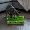 thumbnail image 6 of Catstages Grass Patch Hunting and Play Box Ball Cat Toy, 6 of 7