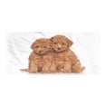 thumbnail image 1 of Poodle Gym Towel, Puppies Cozily Posing on a Plain Background Animal Lover, One-Sided Quick Dry Microfiber for Beach Fitness & Swimming, 60" x 30", Pale Caramel Sand Brown, by Ambesonne, 1 of 2