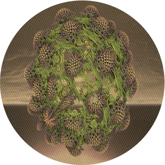 Ahgly Company Indoor Round Patterned Copper Brown Area Rugs, 8' Round