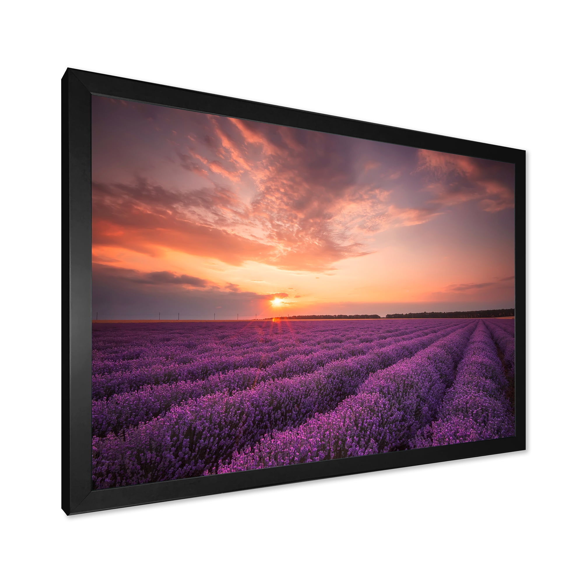 Designart 'Dramatic Clouds and Sunrise Over Lavender Field XII' Farmhouse Framed Art Print