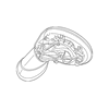Genuine OE Mini Mirror Housing - 51-16-7-931-804