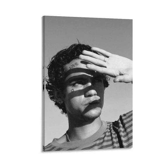 Dominic Fike Poster 19 Posters Art Print Wall Photo Paint Poster Hanging Picture Family Bedroom Decor