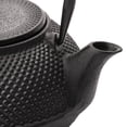 thumbnail image 5 of Bredemeijer 27oz Jang Cast Iron Tea Pot | Black, 5 of 5