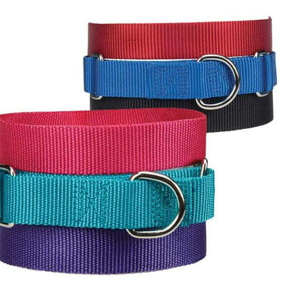 Nylon Martingale Collar 10-16 In Black
