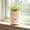 Pink#622🌷, variant on Plastic Flower Pot Self-Watering Indoor Planter 12 x 15 cm Breathable Thickened Decorative Container, Assorted Colors