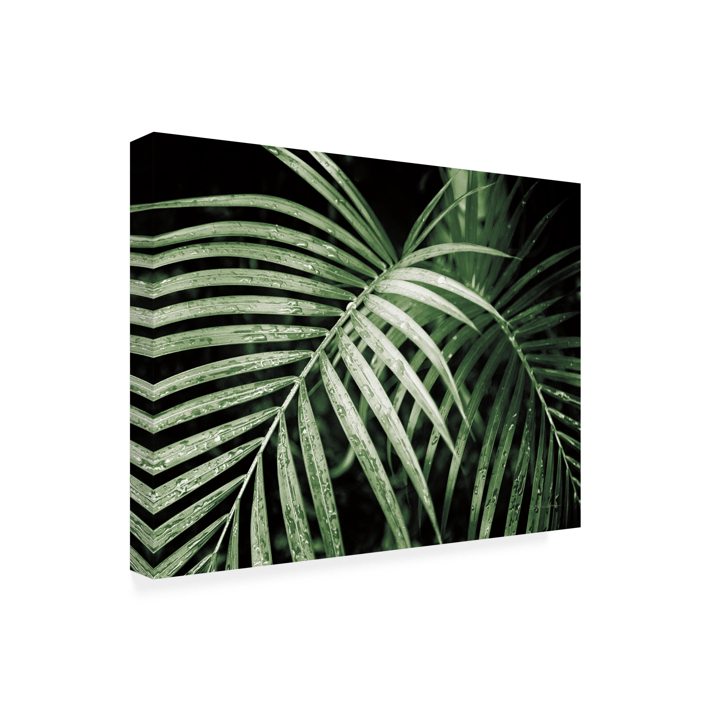 Debra Van Swearingen 'Palm Fronds Green' Canvas Art