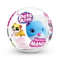 thumbnail image 3 of Hamster Mania Pets Alive, 3 of 4