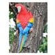 thumbnail image 4 of Estatuas de loros de resina, aves artificiales con plumas, estatuilla de animal 31cm Mira a la izquierda rojo, 4 of 9