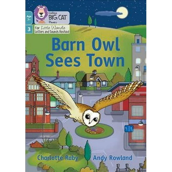Barn Owl Sees The Town