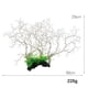 thumbnail image 5 of 1 pieza de adorno de resina para árbol de coral con plantas de acuario, realista y atractivo. blanco, 5 of 5