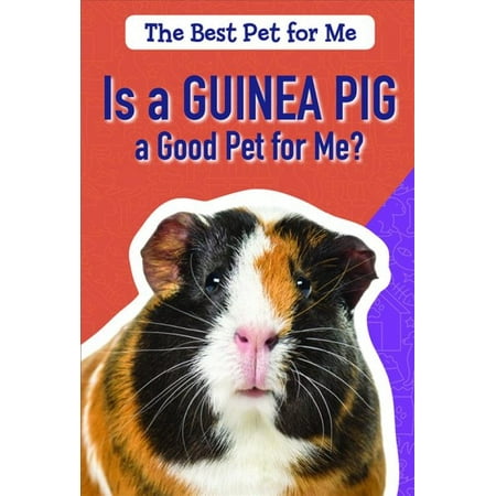 Is a Guinea Pig a Good Pet for Me? (The Best Pet For Me)