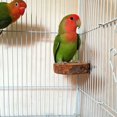 thumbnail image 5 of Plataforma de madera de manzano para loros, soporte para loros, juguete de madera maciza para loros, columpio para pájaros, suministros para loros, 5 of 5