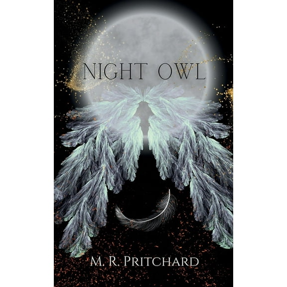 Veil of Shadows Night Owl, Book 6, (Paperback)