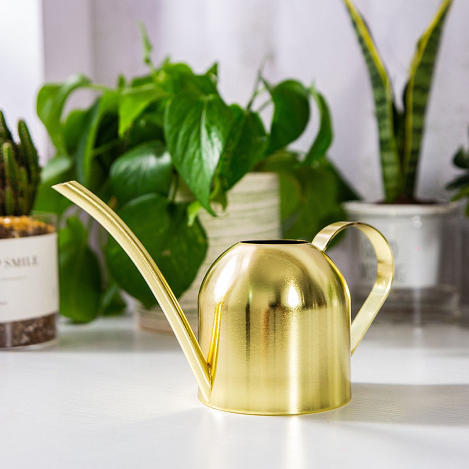 Plant Watering Can Clearance! Long Spout Watering Can Indoor Plants - Watering Pot Stainless Steel Watering Can with Handle Vintage Watering Kettel, Small Watering Can for Indoor Plants
