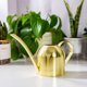 thumbnail image 5 of Regadera de acero inoxidable - Regadera de metal con pico largo para evitar derrames, regadera perfecta para plantas de exterior e interior. Hervidor de agua de acero inoxidable., 5 of 8