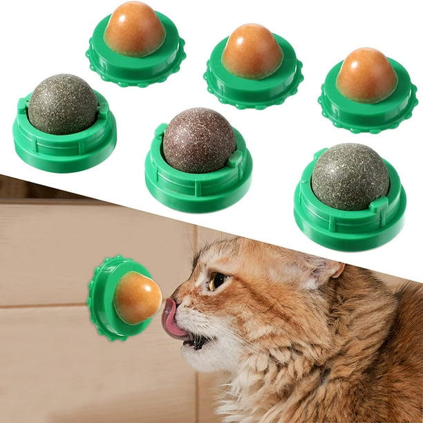 Jouets de Boule d'herbe à Chat, 4 Pièces Comestibles Cataire de