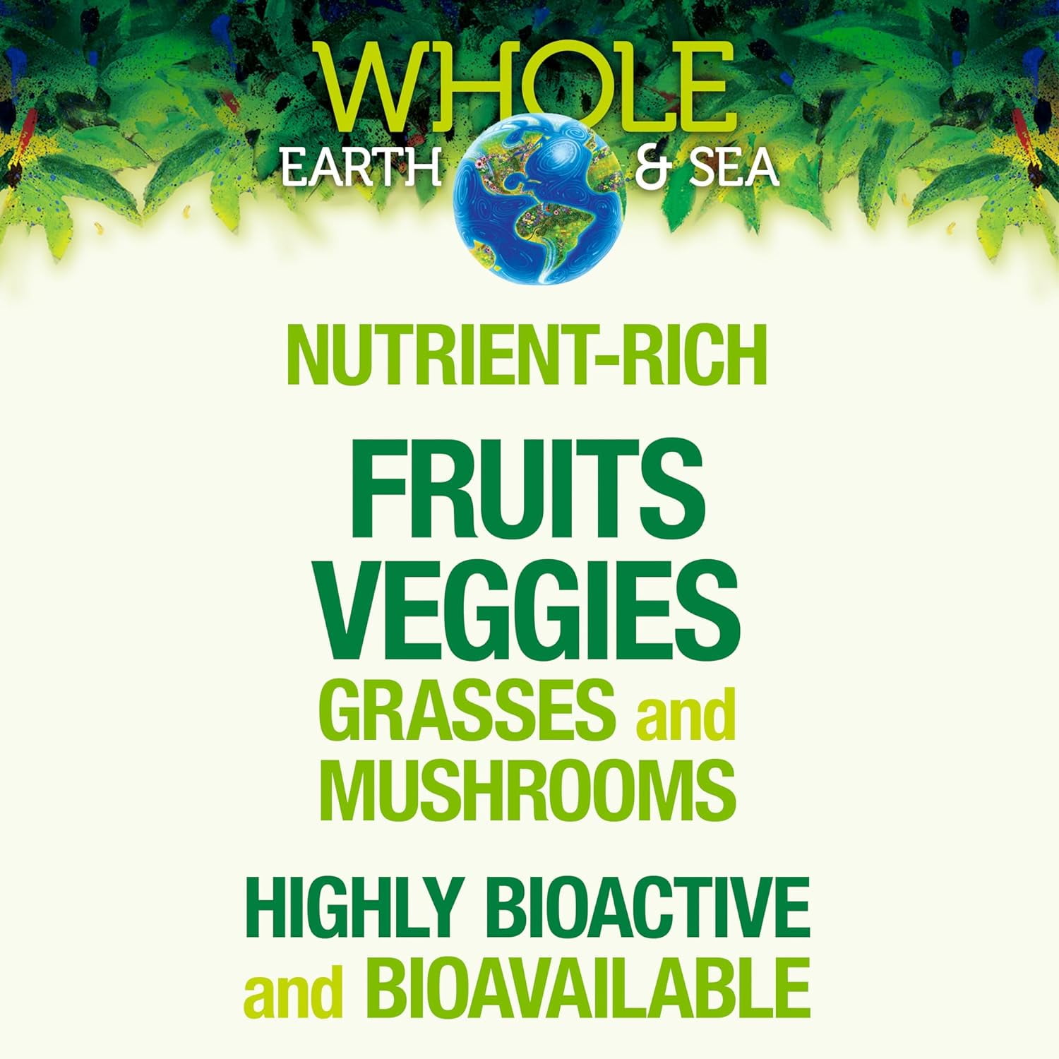 Natural Factors Whole Earth & Sea, Organic Fermented Greens, Vegan Whole Food Supplement, Unflavored, 6.9 Oz