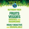thumbnail image 4 of Natural Factors Whole Earth & Sea, Organic Fermented Greens, Vegan Whole Food Supplement, Unflavored, 6.9 Oz, 4 of 8