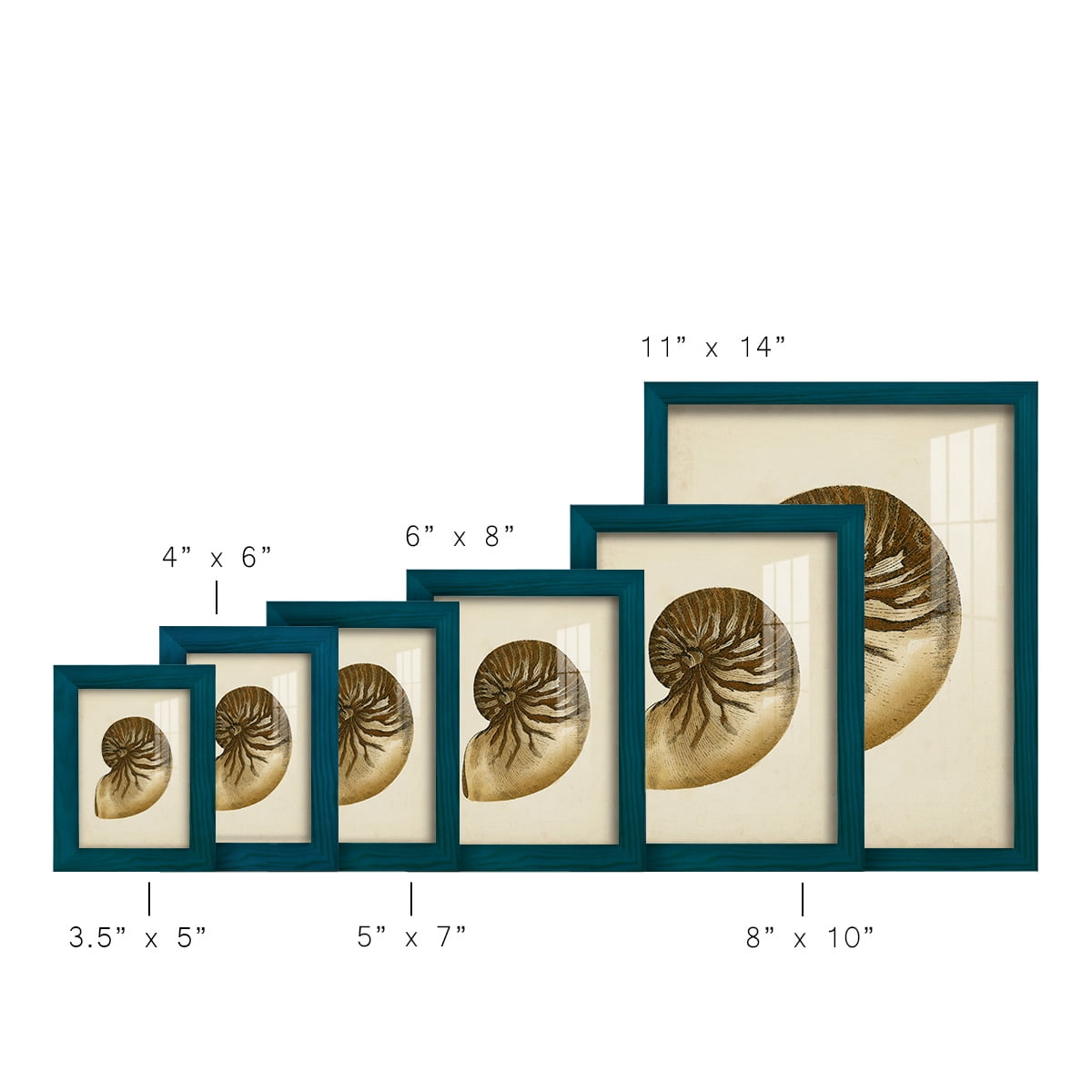 Sealife Collection V - Framed Print w/glass - Ocean Blue
