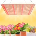 thumbnail image 1 of Green Haven: Dimmable Grow Light With Sunlike Spectrum Light For Indoor Plants, Wide Applications, 2-Foot Tall Factory Area Coverage, 1 of 8