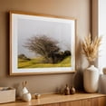 thumbnail image 5 of Leafless Shrub in Foggy Field - Covadonga Spain Photography Nature Landscape Wilderness Foggy Countryside Pastoral Scenic Unframed Wall Art Print 5 x 7 inches, 5 of 7