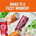 thumbnail image 6 of IZZE Sparkling Juice Beverage Blend, Clementine, No Sugar Added, 8.4 FL OZ, 24 Cans, 6 of 9