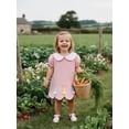 thumbnail image 3 of Infant Toddler Baby Girl Easter Dress Puff Short Sleeve Doll Collar Rabbit Embroidery Plush Ball Decor A Line Dress Summer Clothes 6M-4T, 3 of 10