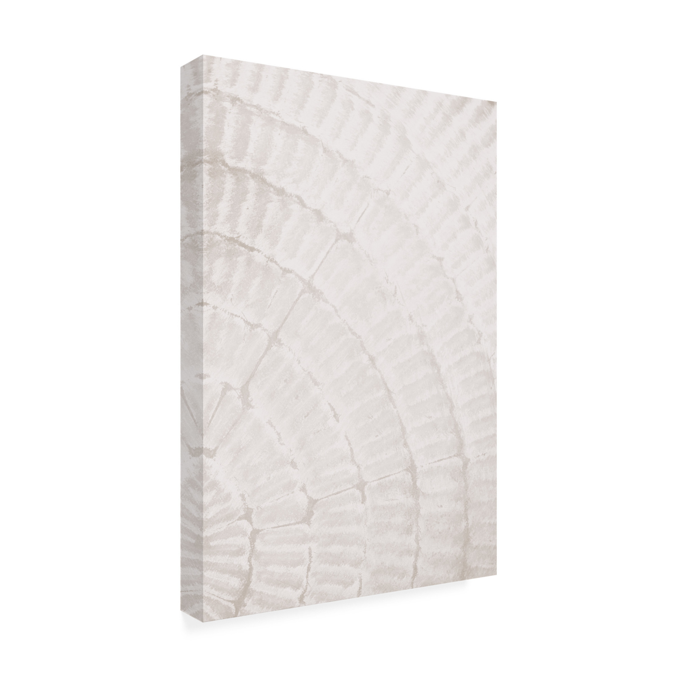 Trademark Fine Art Pictufy Studio Pattern Plate Beige 2 Canvas Wall Art