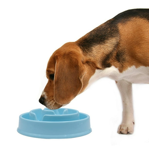 Slow Feeder Dog Bowl Fun Feeder Maze Bowl Interactive Eco Friendly Durable Puzzle Bowls For For Small To Large Dogs And Cats Helps Keep Slim And Active Walmart Com Walmart Com