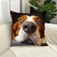 thumbnail image 5 of Funda de almohada decorativa | Funda para cojín de sofá y cama | Protector de almohada cuadrado de 45x45 cm con cremallera oculta | Tejido de poliéster suave, 5 of 6