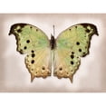 thumbnail image 3 of Reynolds, Richard 14x12 Black Modern Framed Museum Art Print Titled - Forest Mother-Of-Pearl, 3 of 5