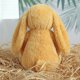 thumbnail image 2 of Juguetes de peluche de conejito de Pascua de 9,8 pulgadas, color verde salvia, peludos y holgados, animales de peluche de conejito de color sólido, peluches de eucalipto difusos para decoración,Lemon, 2 of 8