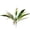 D, variant on Artificial Dracaena Fragrans Leaf Stem 20 Inch Fake Brazilian Wood Foliage for Modern Home Decor Tropical Greenery for Vase and Plant Wall