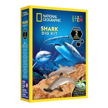 National Geographic Shark Dig Kit Science Set  for Child Ages 8 Years and up