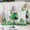 thumbnail image 2 of St. Patrick's Day Pillow Covers Queen, Spring Shamrock Hat Daisy Ladybirds Wood Gray Soft Brushed Microfiber Breathable Throw Pillow Covers, Pillowcase with Zipper for Couch Sofa Bedroom 20"x30", 2 of 9