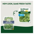 thumbnail image 2 of Earthbound Farm Crispy Greenhouse Lettuce 4 oz, 2 of 6