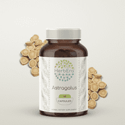HerbEra Astragalus Capsules, Herbal Dietary Supplement for Immune Support, Astragalus (Astragalus Membranaceus) Dried Root Capsules, Natural, 60 Capsules