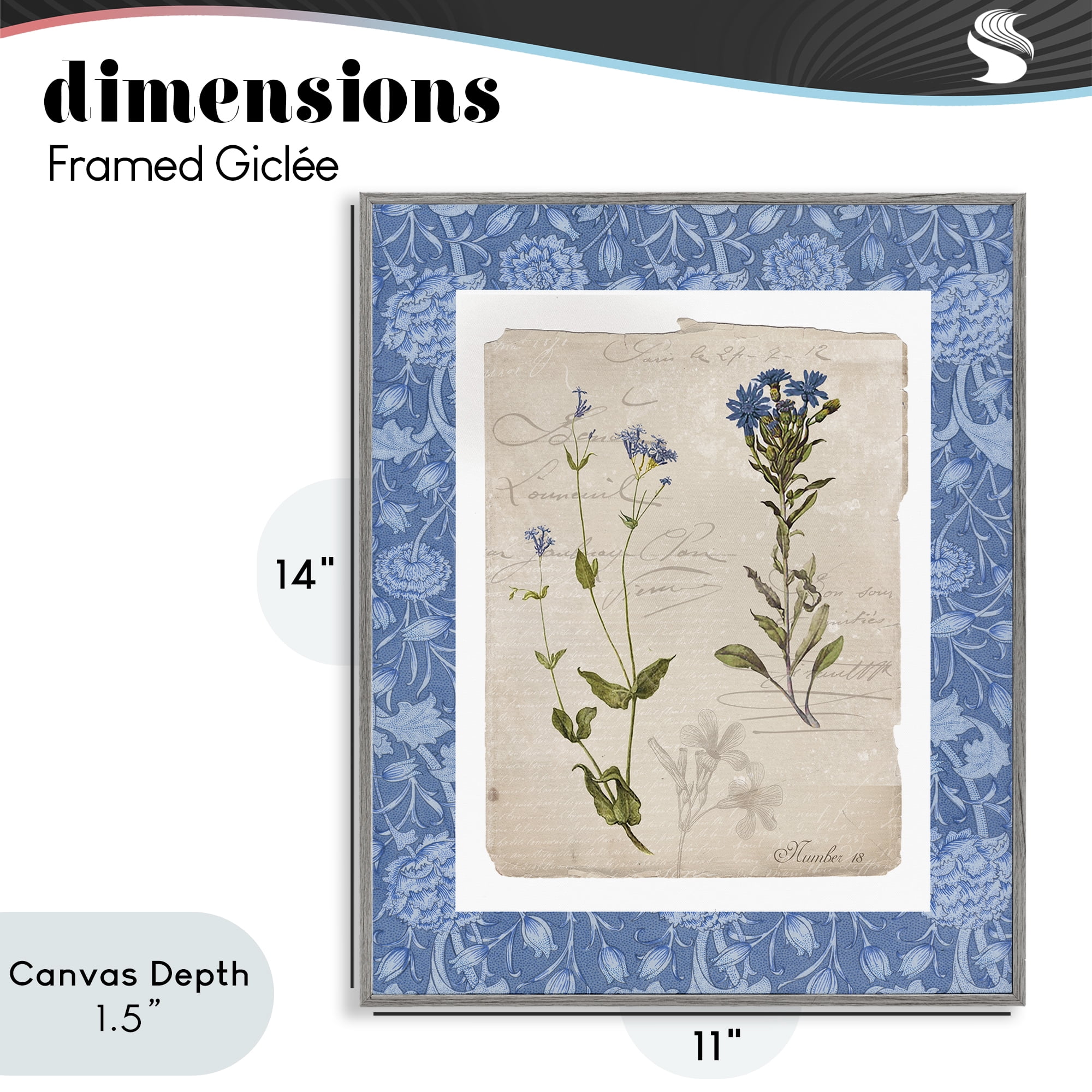 Stupell Industries Blue Vintage Botanicals Gray Framed Giclee Art, design by Livi Finn