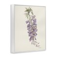 thumbnail image 2 of Stupell Industries French Country Delicate Hyacinths Study White Framed Giclee Art, 11 x 14, by Cady Driver, 2 of 8