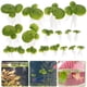 thumbnail image 3 of 18 piezas de plantas flotantes para acuario, plantas para pecera, decoraciones de lenteja de agua falsa, 3 of 7
