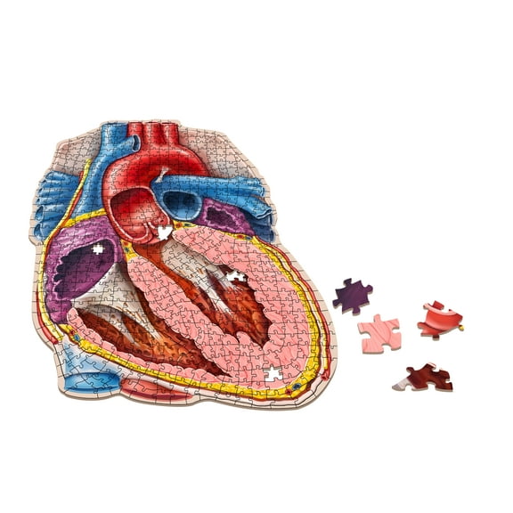 Human Heart Anatomy Jigsaw Puzzle | Dr. Livingston's Unique Shaped Science Puzzles