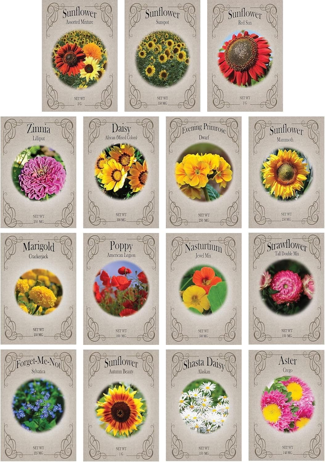 buy rose seeds Blue Unique Rose Seeds, Heirloom Non-GMO Compact Roses for Garden Plan   Earthechoseeds