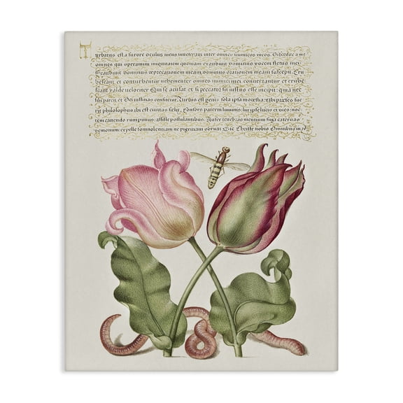 Stupell Industries French Country Tulips & Insects Antique Canvas Art, 16 x 20, by Melissa Wang