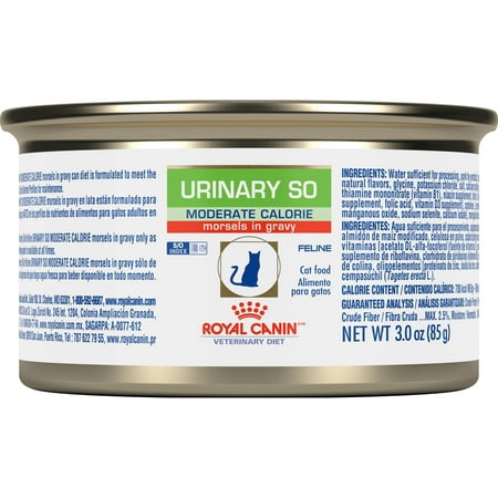 ROYAL CANIN Feline Urinary SO Morsels in Gravy Can, 24/3