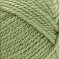 thumbnail image 2 of Red Heart E406-1601 Fil avec Amour Chunky - Laitue, 2 of 2