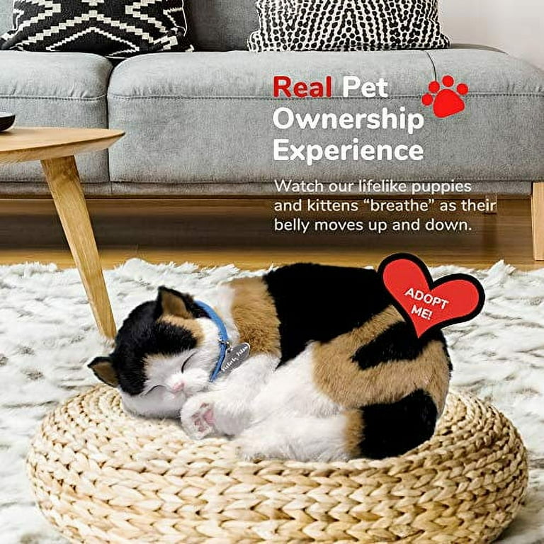 Perfect petzzz sale calico cat