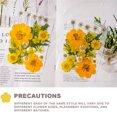 thumbnail image 4 of Flor seca natural DIY Decoraciones florales presionadas con flores en relieve conservadas hermosa decorativa para postal velas de scrapbooking amarillo sidaley HA010778-02, 4 of 7