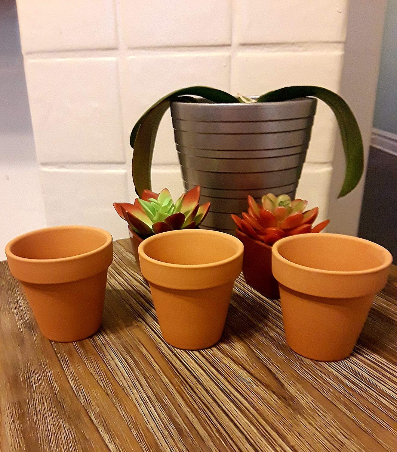 Set of 12 Terra Cotta Pots! Perfect for Vegetable or Flower Gardens! Measures - 3.75inx3.93in.d,x0.175in