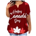 thumbnail image 1 of Plus Size Mujeres Blusas Sexy Cuello en V Encaje Casual Suelto Manga Corta Top, Blusas de Manga Corta para las Mujeres, 1 of 3