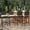 Beige Brown, variant on Outdoor Wicker Barstools Set of 4,Rattan Patio Bar Stools for Backyard, Brown+beige/dark gray/blue